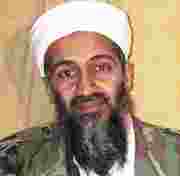 Hollywood Osama Bin Laden