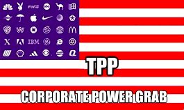 tppflag.jpg