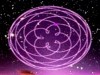 Rotations of Venus