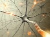 firing neuron