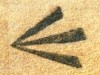 convictlogo.jpg