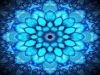 blue_lotus_3.jpg