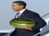 If the watermelon fits, wear it, Mr Obama.
