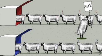 votingsheep.jpg