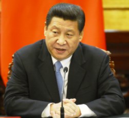 Supreme Leader Xi Jinping
