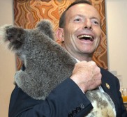 Frankly, the Koala would be preferred as PM