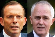 Abbott and Turnbull, two peas in a pod